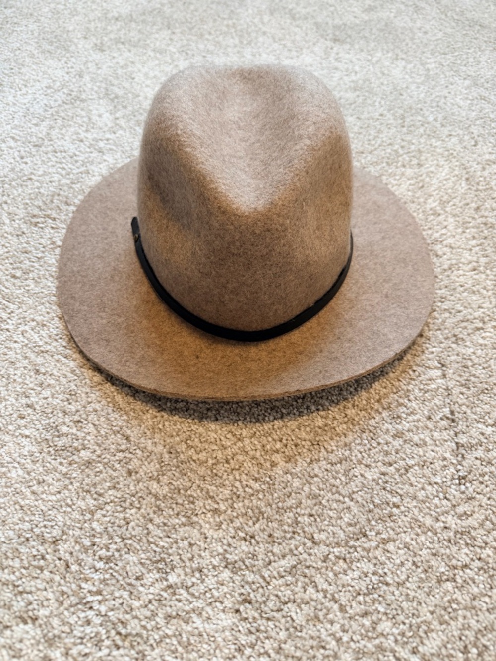 Banana Republic Wool Felt Fedora in Taupe with Black Band